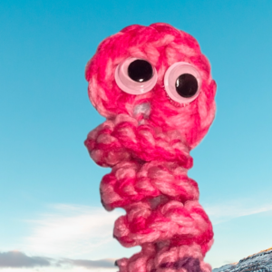 Crochet Worry Worms