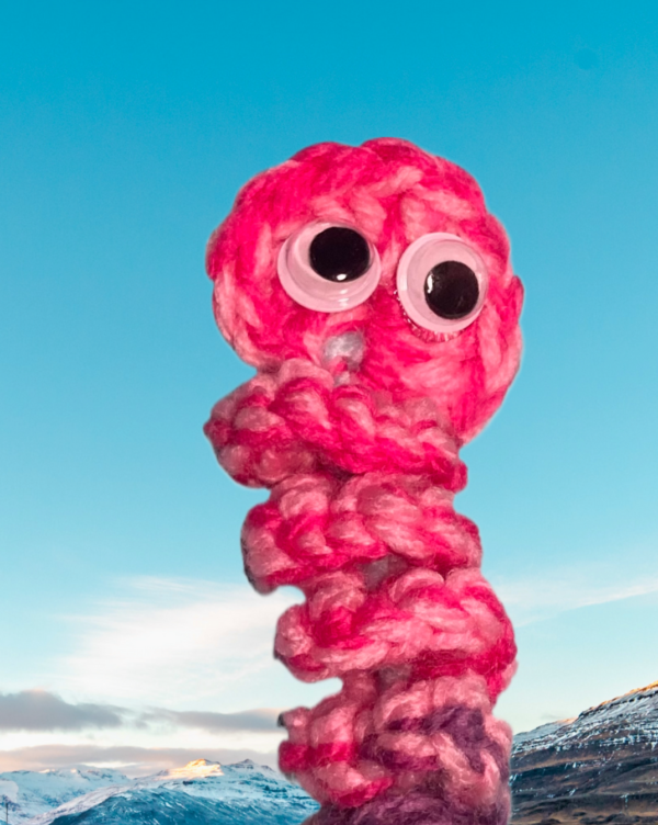 Crochet Worry Worms